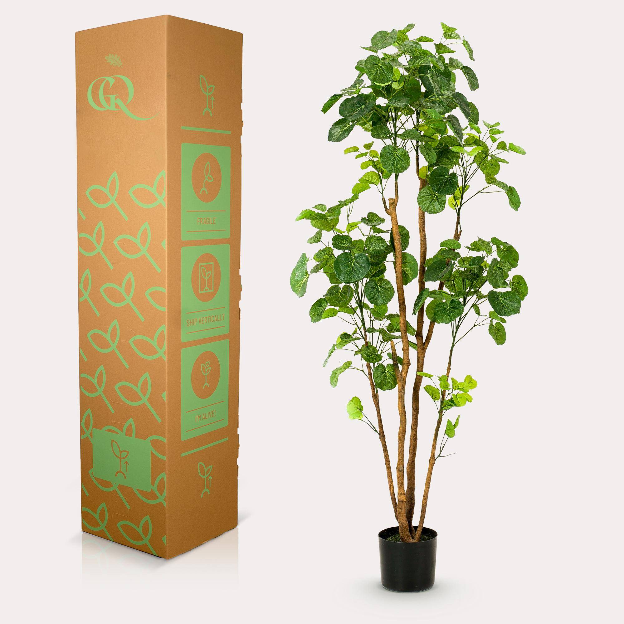 Arbre Artificiel Polyscias Aralia Feuillage Dense Décoration Intérieur 160cm - ComfortXL Green Living - Image 6