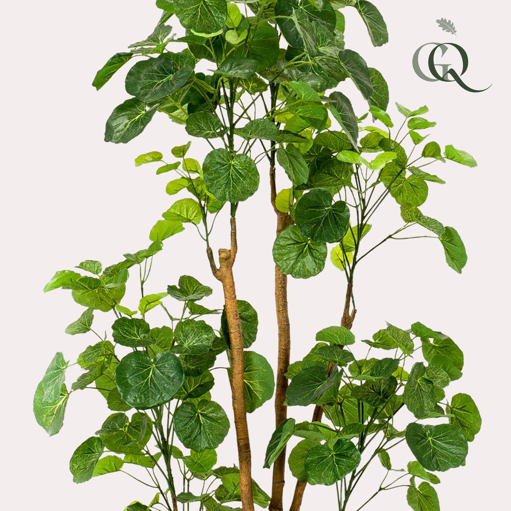 Arbre Artificiel Polyscias Aralia Feuillage Dense Décoration Intérieur 160cm - ComfortXL Green Living - Image 2