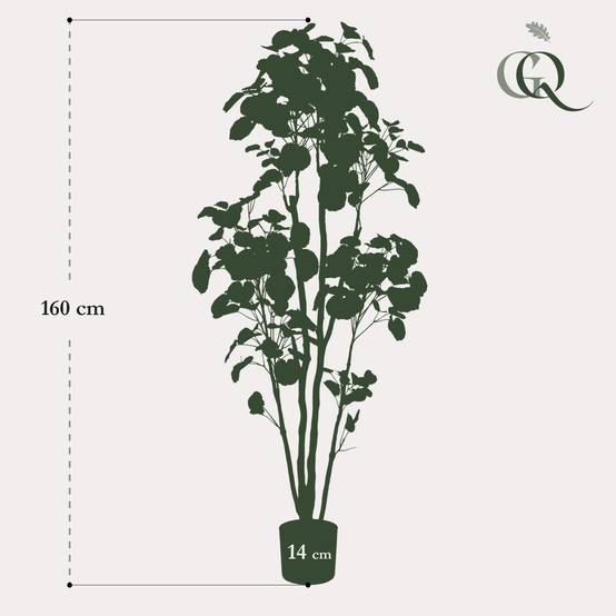 Arbre Artificiel Polyscias Aralia Feuillage Dense Décoration Intérieur 160cm - ComfortXL Green Living - Image 3