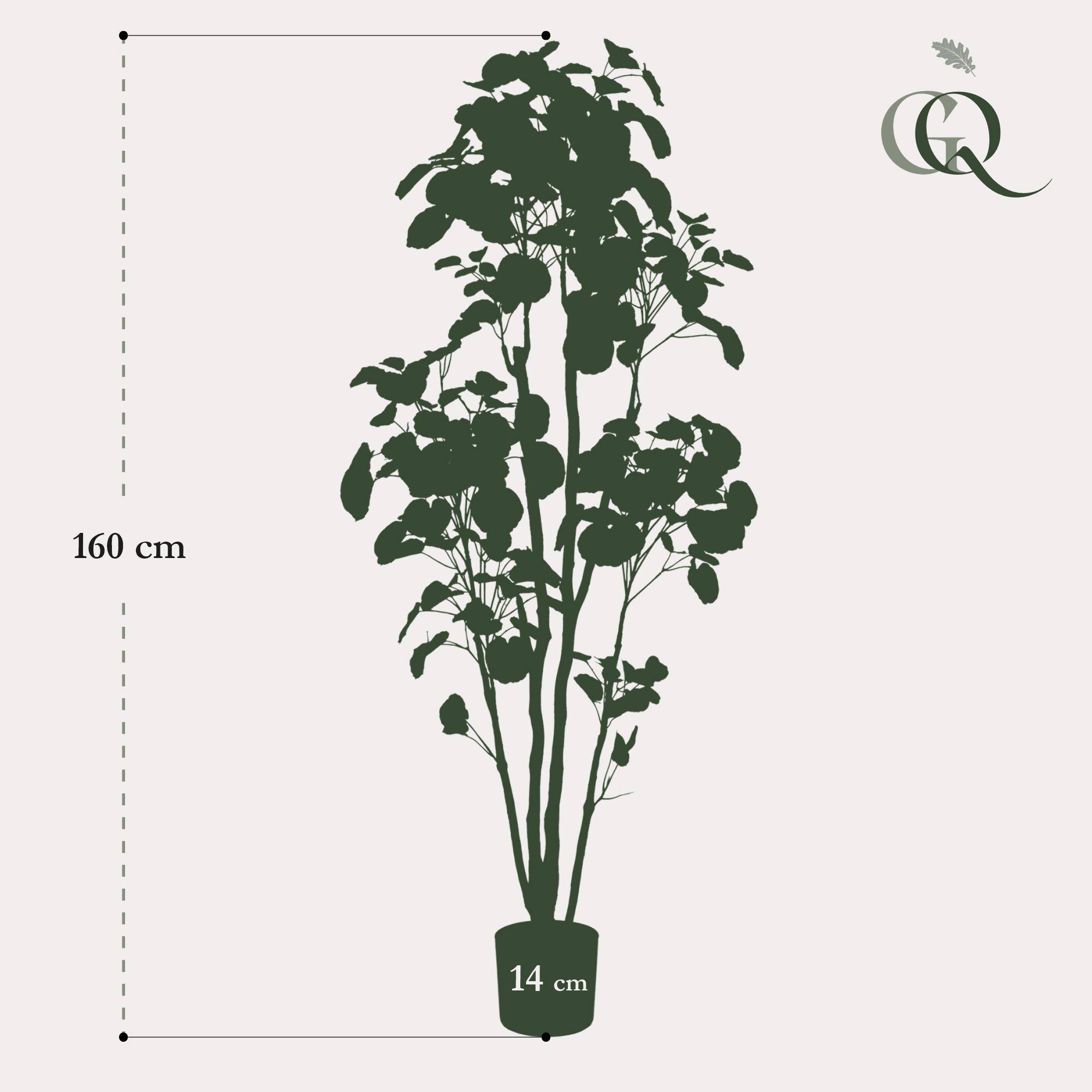 Arbre Artificiel Polyscias Aralia Feuillage Dense Décoration Intérieur 160cm - ComfortXL Green Living - Image 3