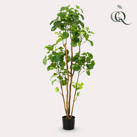 Arbre Artificiel Polyscias Aralia Feuillage Dense Décoration Intérieur 160cm - ComfortXL Green Living - Image 1