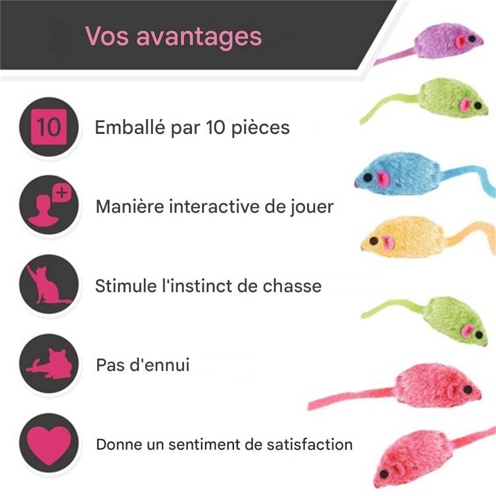 Jeu de 10 souris peluche pour chats DtopbuyAge - Image 2