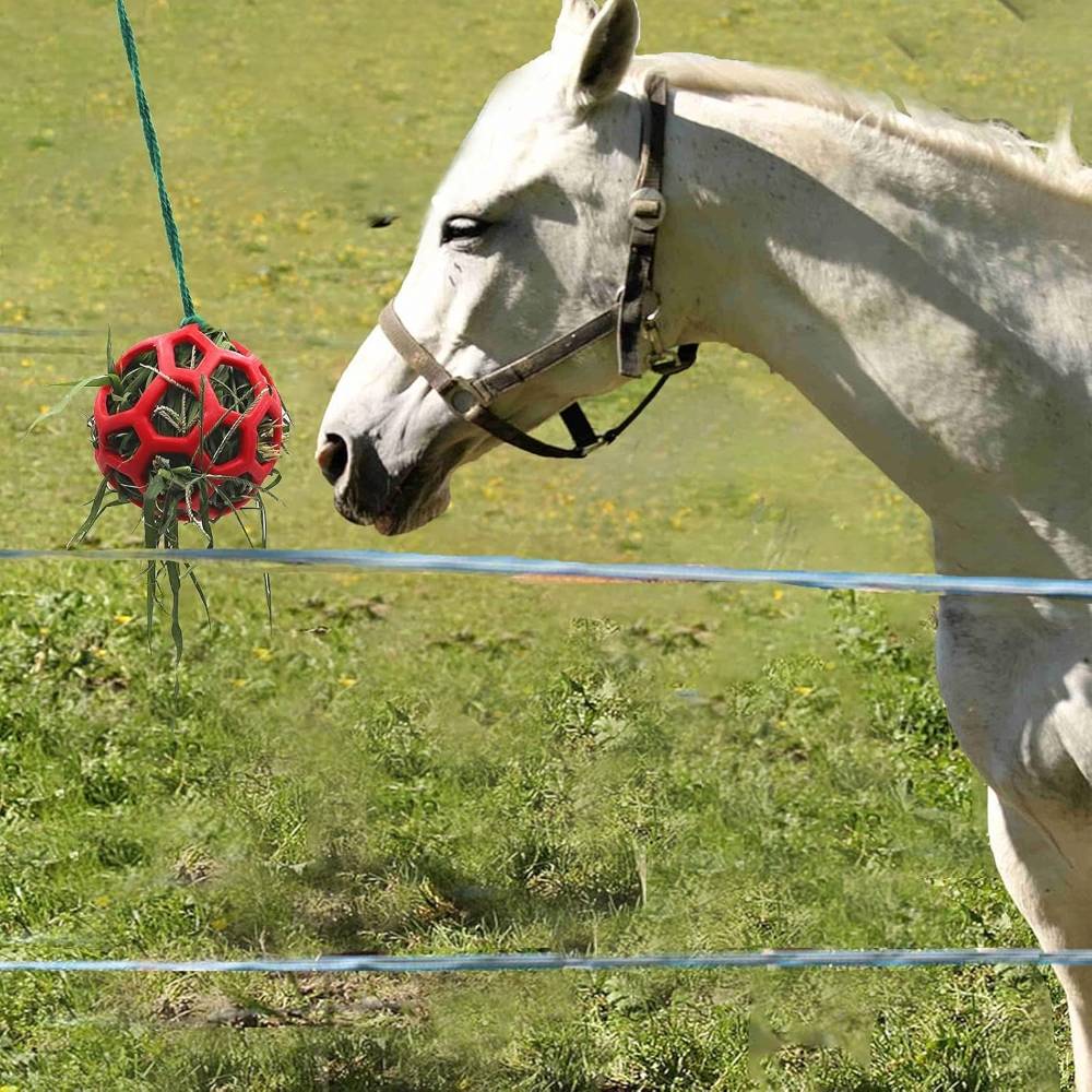Mangeoire pour chevaux rouge - MCBOSON - Image 5