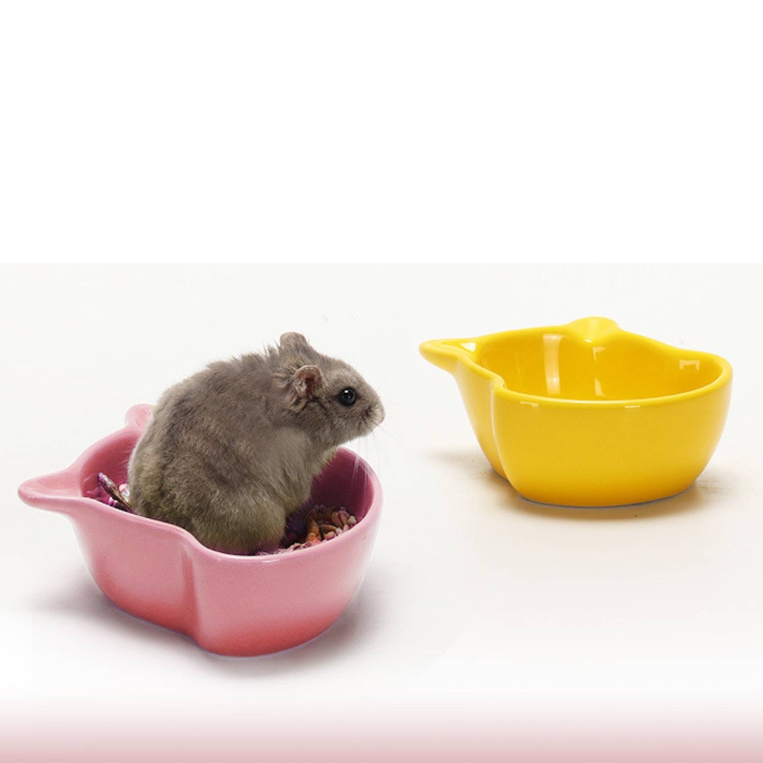 DtopbuyAge - Bol Antidérapant en Céramique pour Animal - Image 5