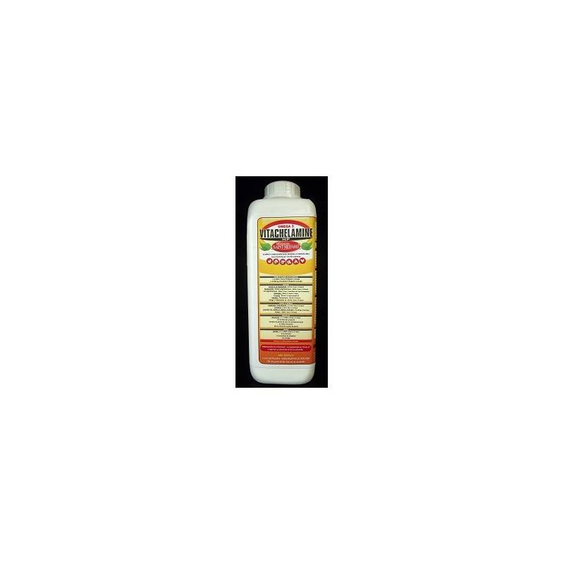 VITACHELAMINE - LABORATOIRE BONNE 1 l