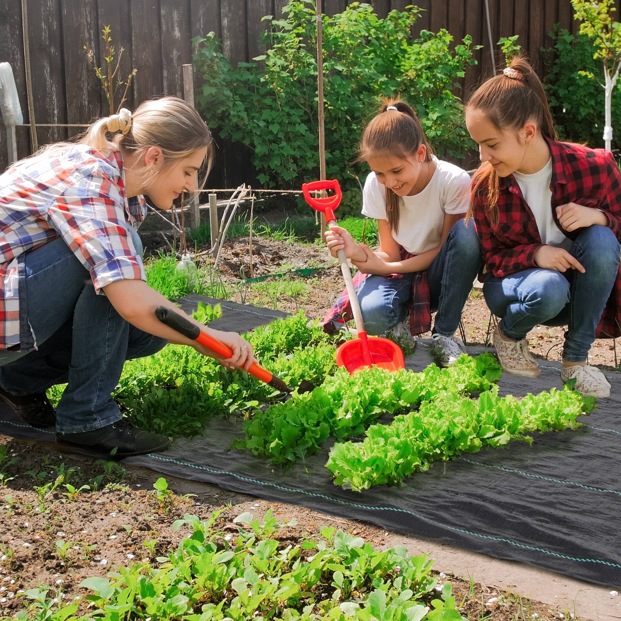 ComfortXL - Toile de paillage en polypropylène noir 100 x 1 m 60 g/m² pour potager et jardin contre les mauvaises herbes - Image 1