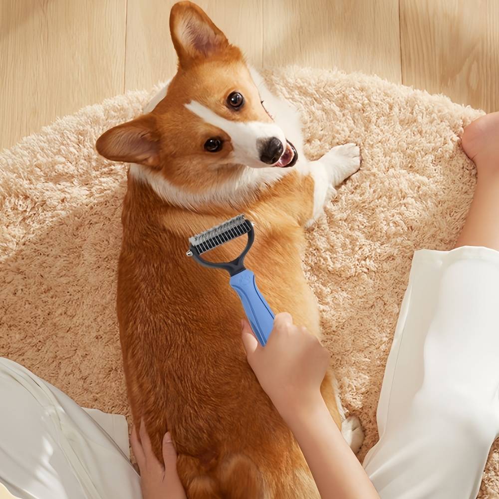 IntiMeg - Brosse de toilettage pour chiens et chats Bleu IntiMeg - Image 3