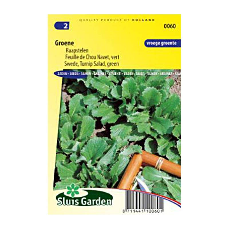 Feuille de Chou Navet vert le sachet de 2200 graines environ (8g)