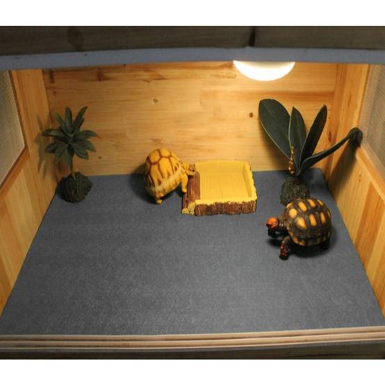 Tapis pour reptiles DtopbuyAge - Image 4