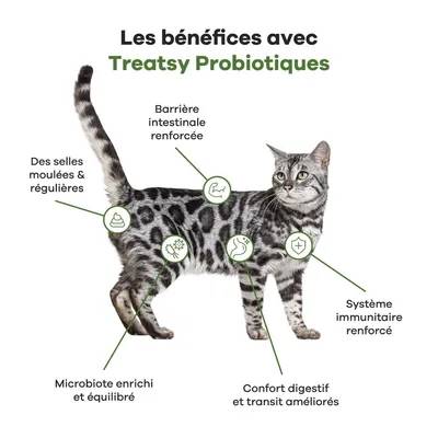Complément Alimentaire - Probiotiques & Digestion pour chat - Contre diarrhée, constipation, boules de poils - Pré- & probiotiques, psyllium - Treatsy - Image 3