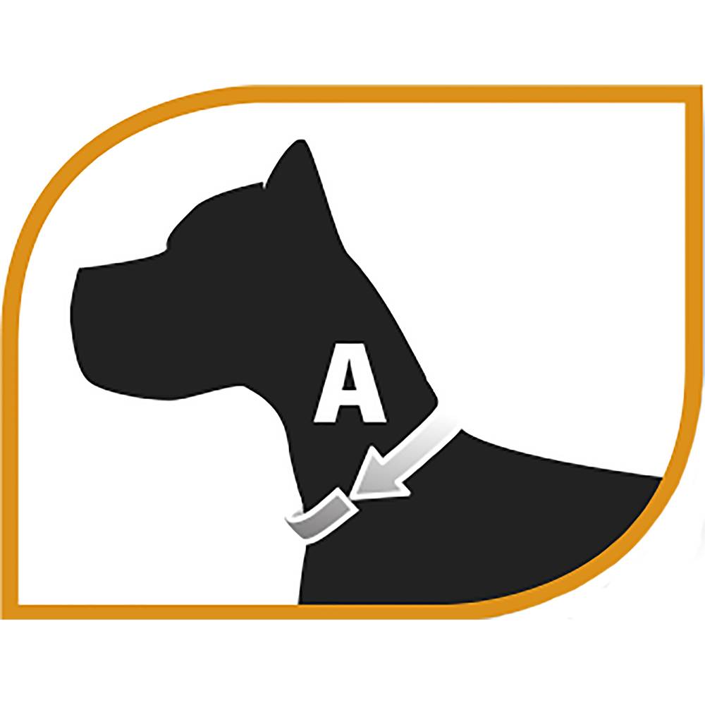 Ferplast - Collier semi-étrangleur chien chiens chaîne acier chromé FERPLAST CHROME CSS - Image 2