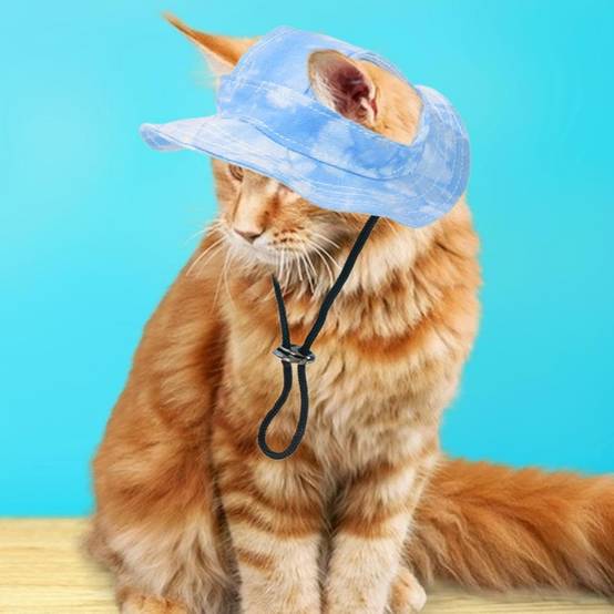 Chapeau de princesse pour chien - Bord large, réglable - Protection solaire - Taille unique (3-5,5 kg) -bleu- Living123 - Image 4