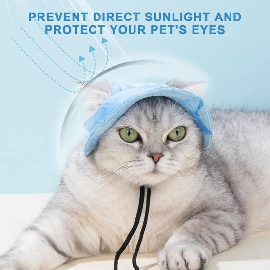 Chapeau de princesse pour chien - Bord large, réglable - Protection solaire - Taille unique (3-5,5 kg) -bleu- Living123 - Image 5