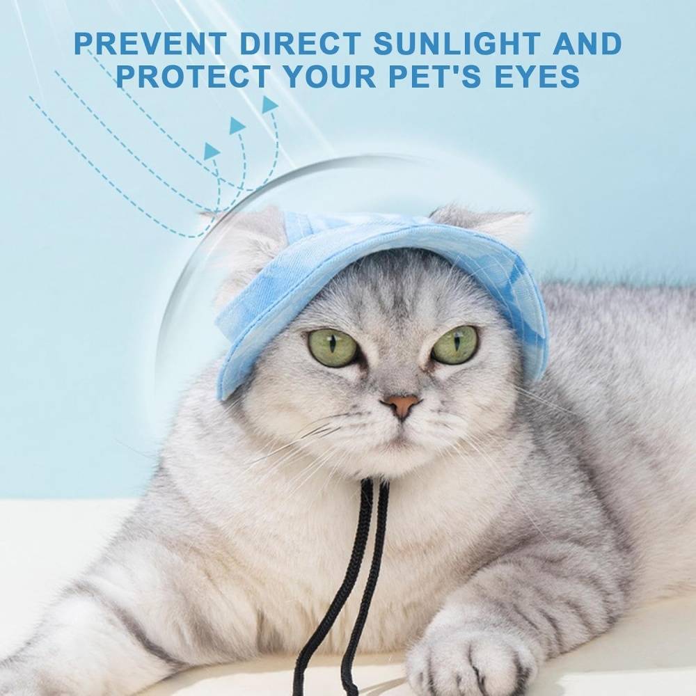 Chapeau de princesse pour chien - Bord large, réglable - Protection solaire - Taille unique (3-5,5 kg) -bleu- Living123 - Image 5