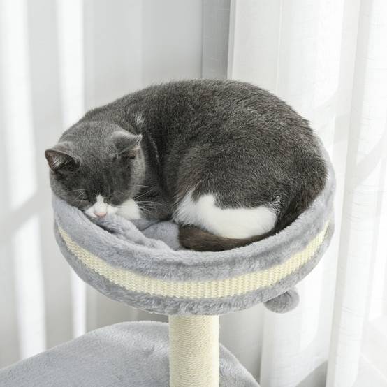 Arbre à chat sisal et peluche gris 59 x 35 x 100 cm - PANGIVO - Image 10