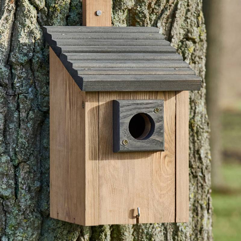 Mangeoire oiseaux extérieur à suspendre pour oiseaux sauvages en bois massif toit pente gris