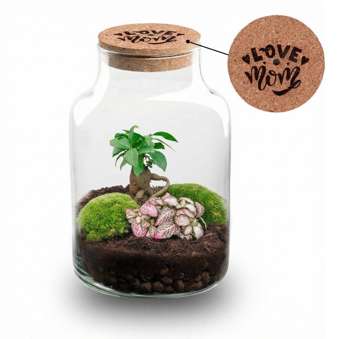 Terrarium à composer bouteille en verre recyclé - Ø17-H25cm - sans outils - bouchon LED - Terrarium DIY - Image 1