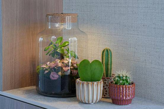 Terrarium à composer bouteille en verre recyclé - Ø17-H25cm - sans outils - bouchon LED - Terrarium DIY - Image 3