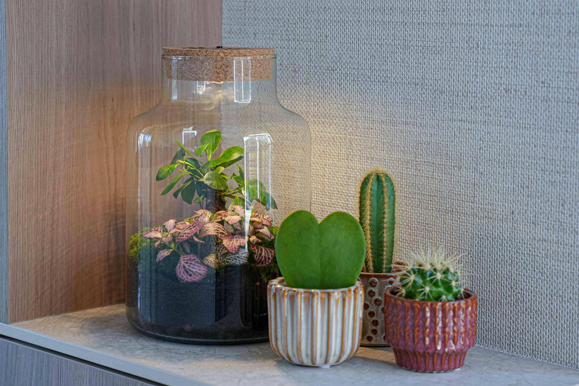 Terrarium à composer bouteille en verre recyclé - Ø17-H25cm - sans outils - bouchon LED - Terrarium DIY - Image 3