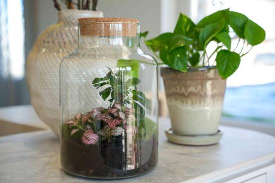 Terrarium à composer bouteille en verre recyclé - Ø17-H25cm - sans outils - bouchon LED - Terrarium DIY - Image 6