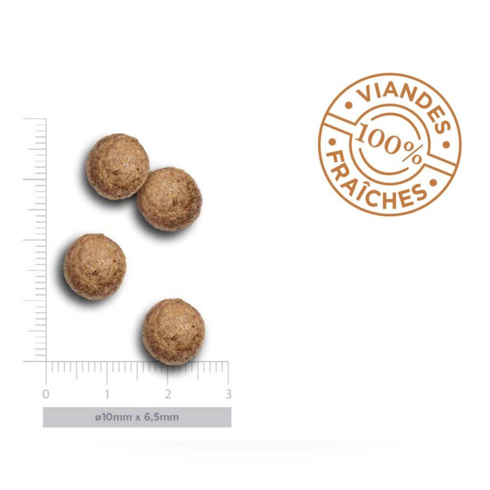 Croquettes chien petite race poulet Amanova 2 kg - Image 3