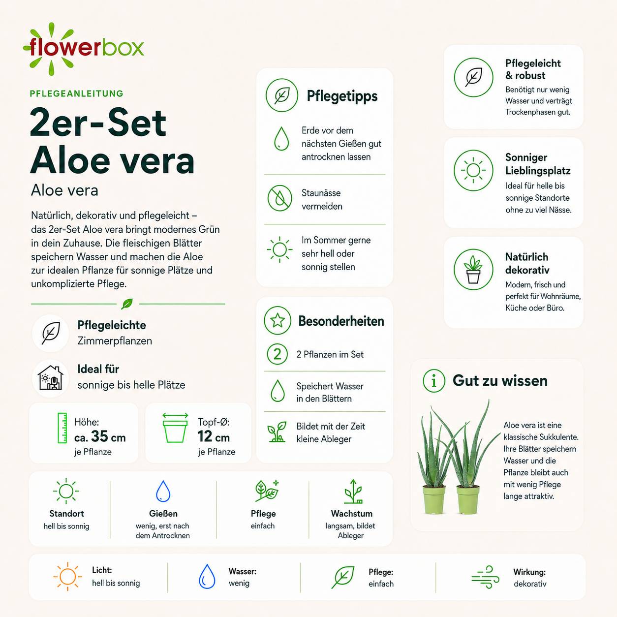 Lot de 2 Aloe vera - plante d'intérieur facile d'entretien - hauteur env. 35 cm, pot-Ø 12 cm - Image 5
