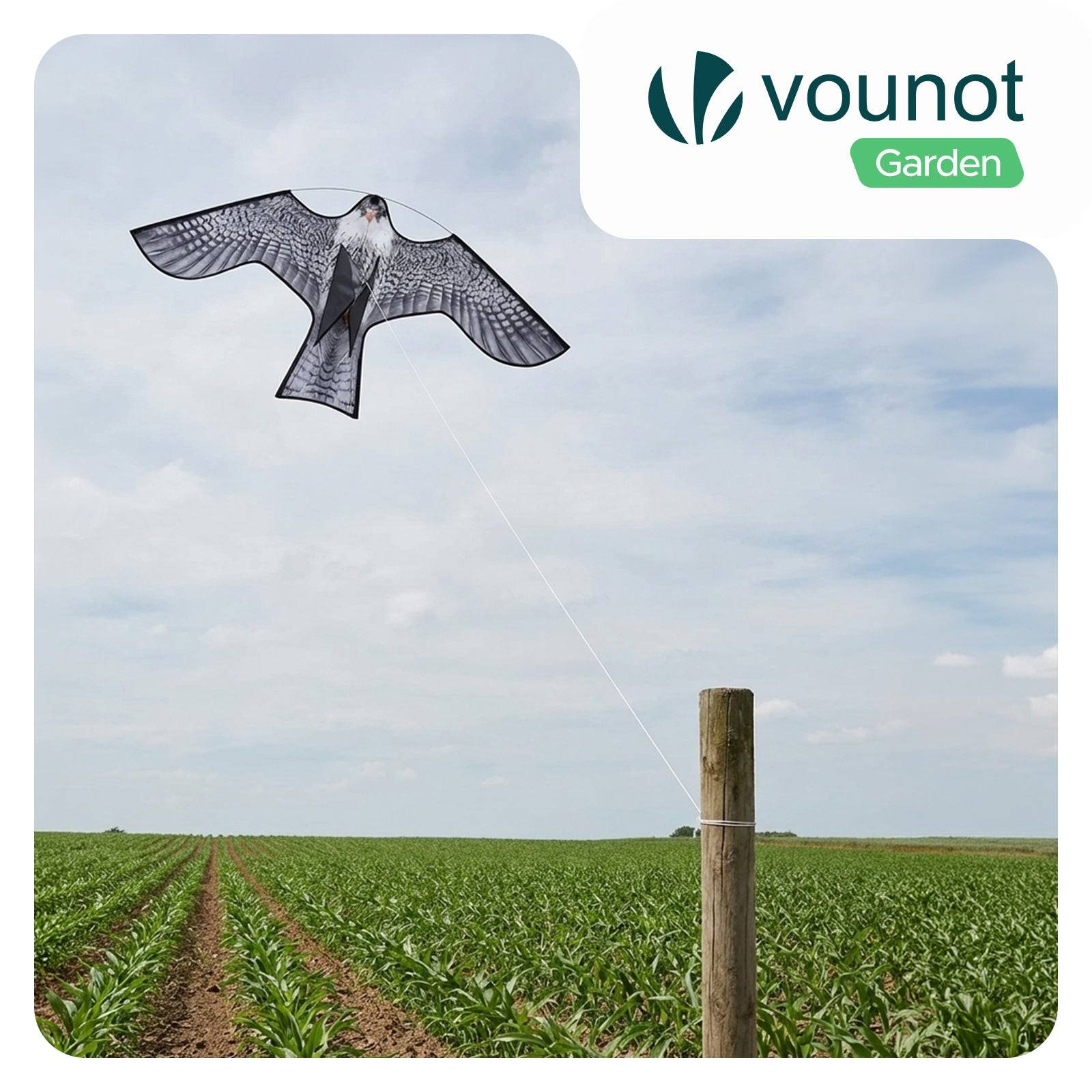 Cerf volant anti oiseaux effaroucheur sans mat Faucon modele A - Image 2