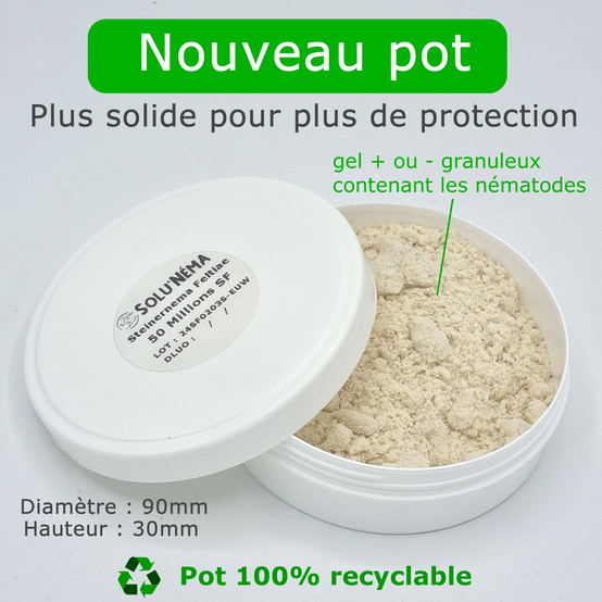 Solunéma - Nématodes contre la Mouche du Terreau - 50 millions Steinernema Feltiae (SF) - Traitement pour 100 m² - Image 2