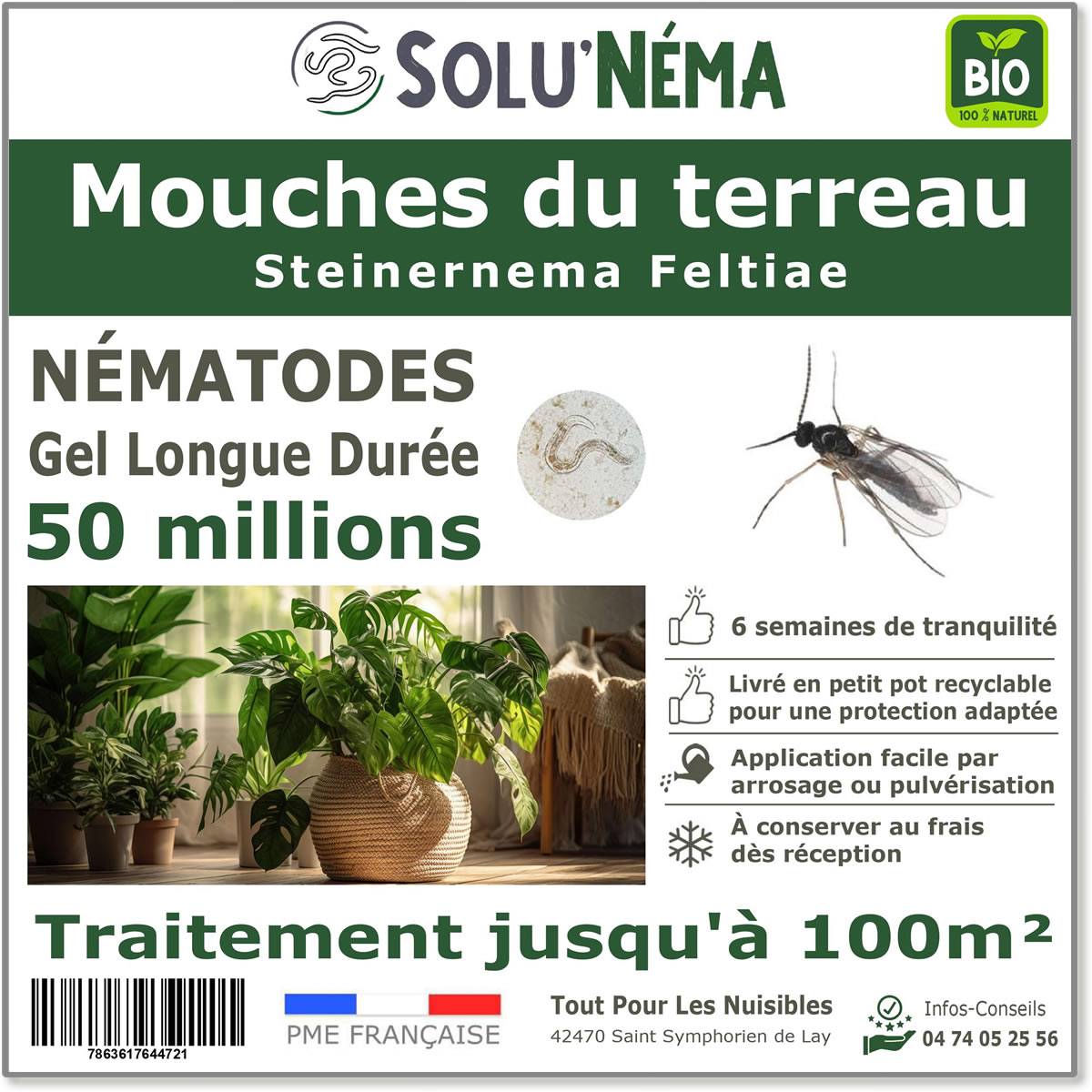 Solunéma - Nématodes contre la Mouche du Terreau - 50 millions Steinernema Feltiae (SF) - Traitement pour 100 m² - Image 1