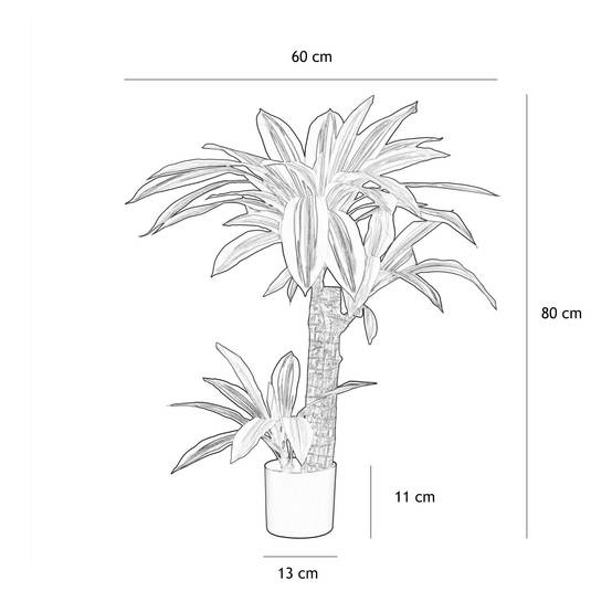 Ligne Deco - Dracena artificiel toucher naturel 80cm - Image 5