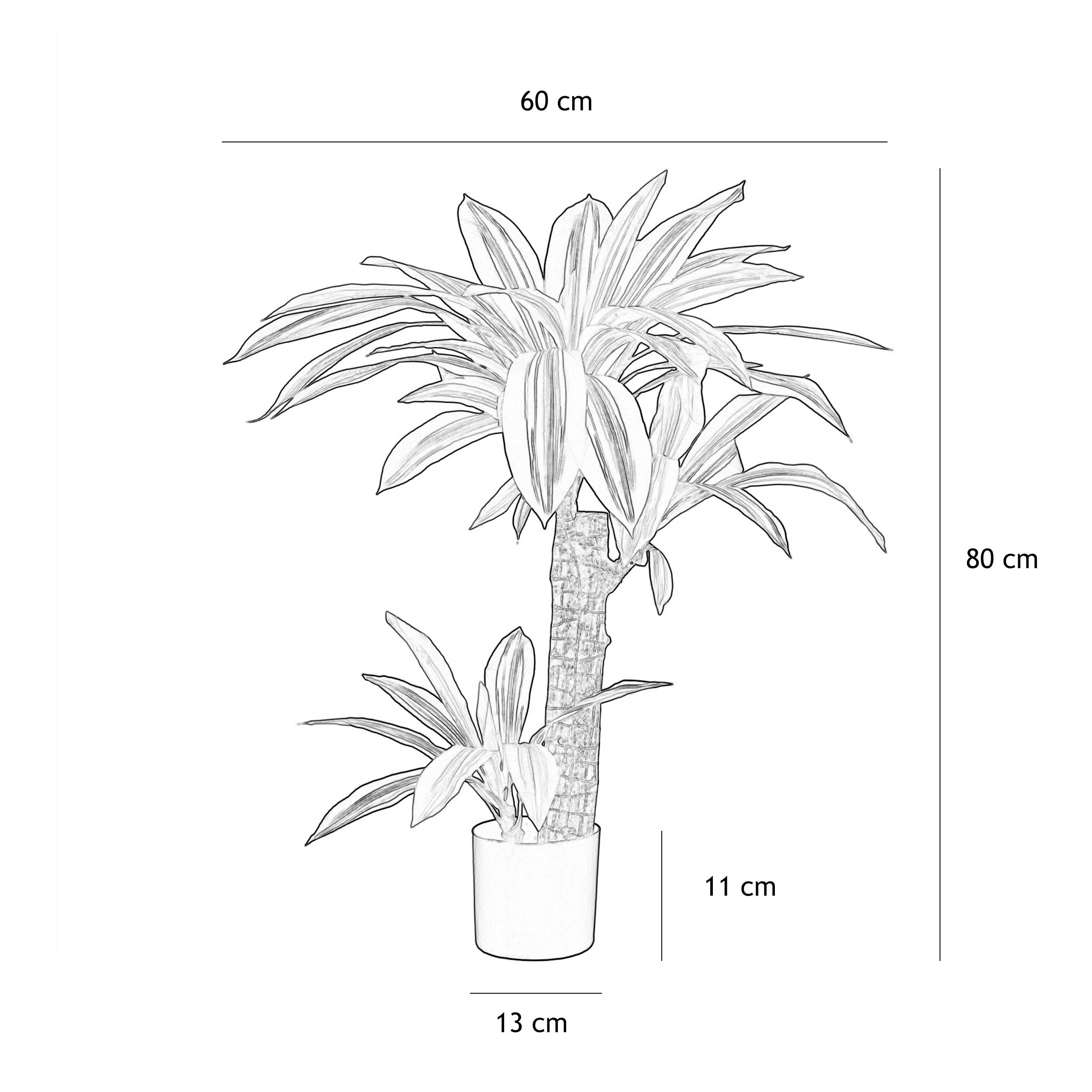 Ligne Deco - Dracena artificiel toucher naturel 80cm - Image 5