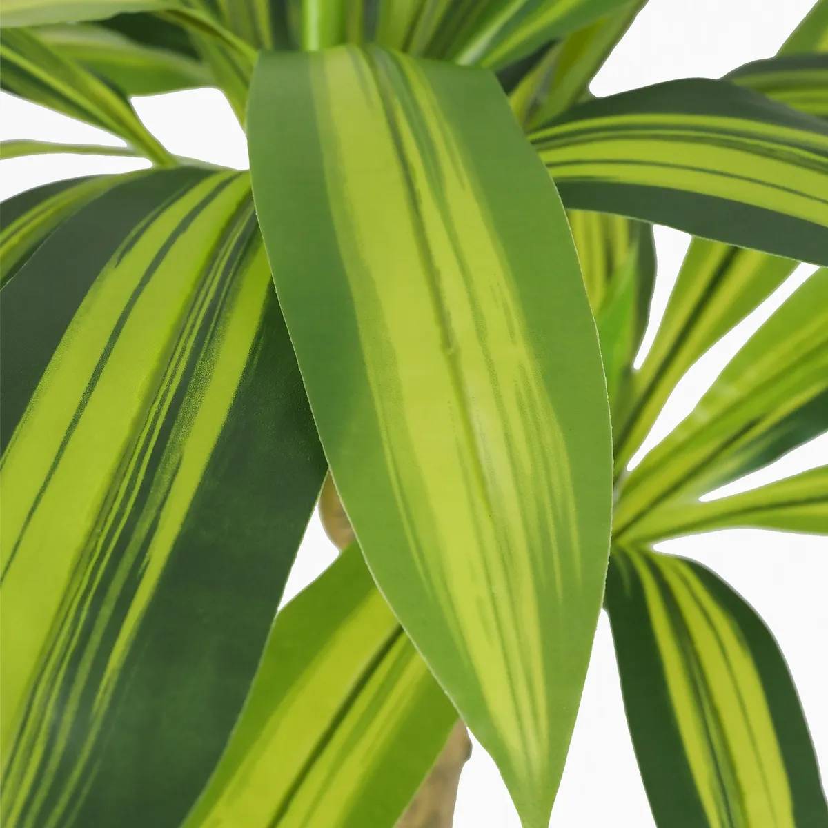 Ligne Deco - Dracena artificiel toucher naturel 80cm - Image 4