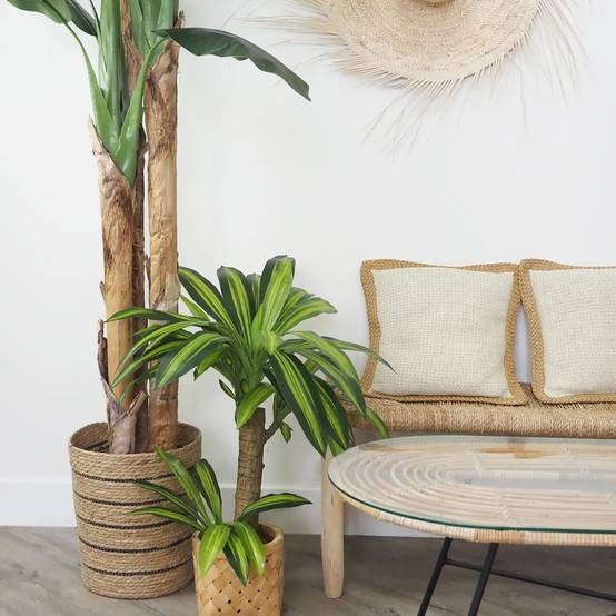 Ligne Deco - Dracena artificiel toucher naturel 80cm - Image 3