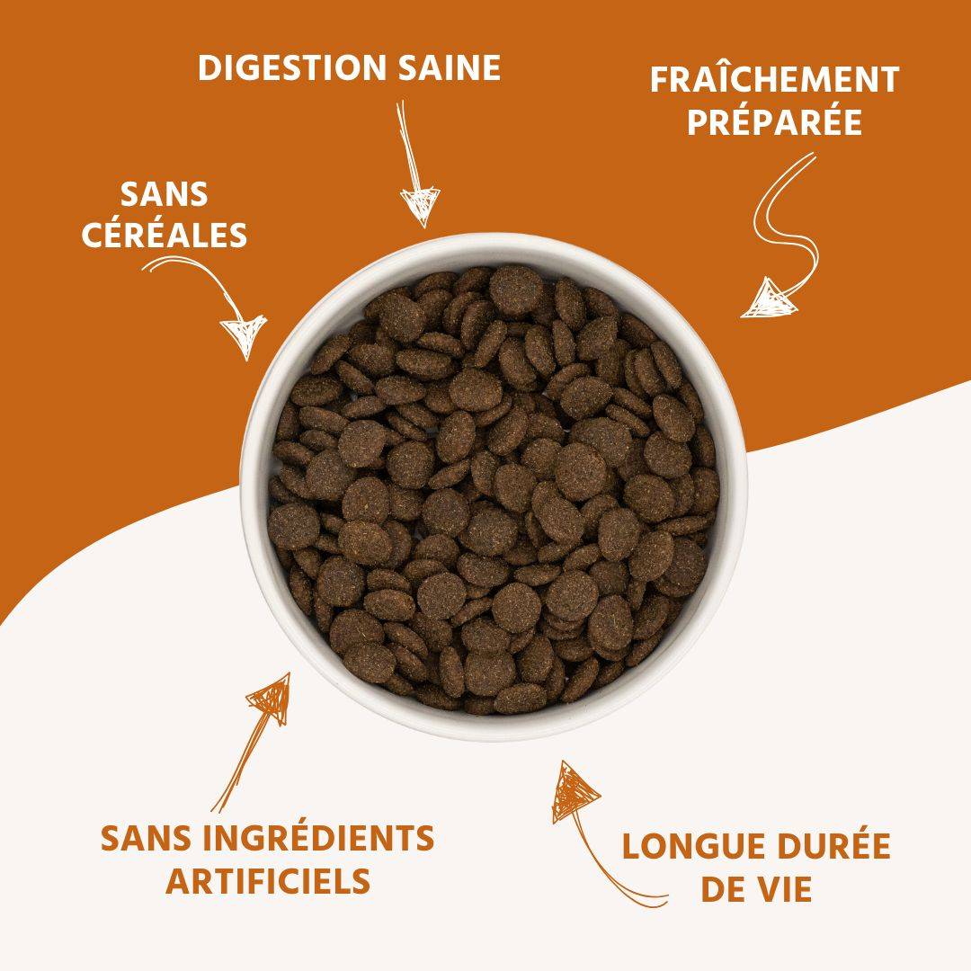 Wildfang - Wildfang — Ensemble d'essai pour adultes aliments secs - grain-sans - 6 x Agneau - Image 3