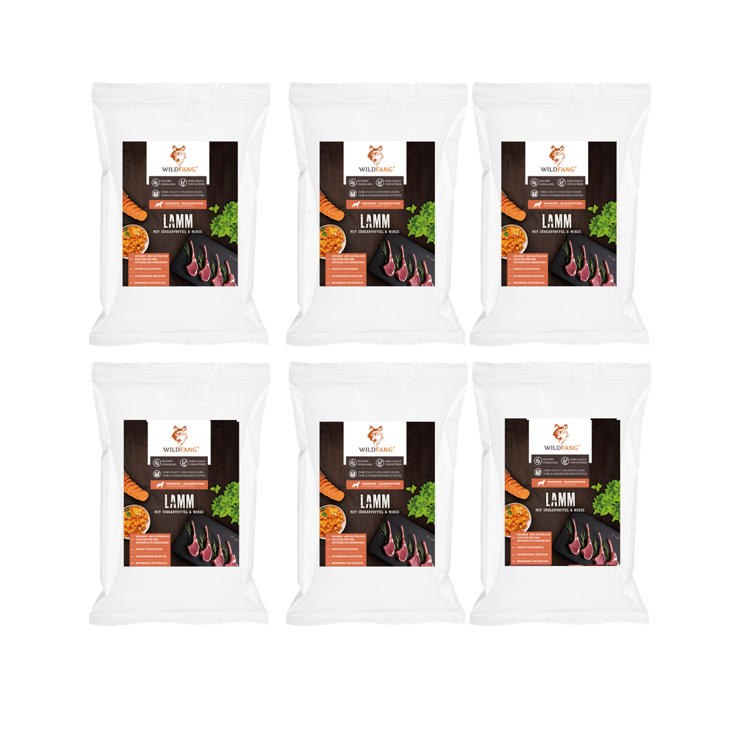 Wildfang - Wildfang — Ensemble d'essai pour adultes aliments secs - grain-sans - 6 x Agneau - Image 1