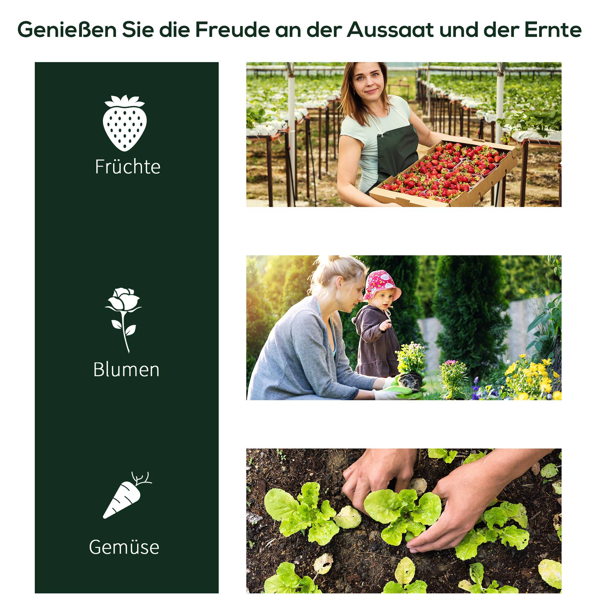 Serre de forçage acier et plastique pour potager extérieur croissance 200x100x80cm transparent - ComfortXL Outdoor Living - Image 8