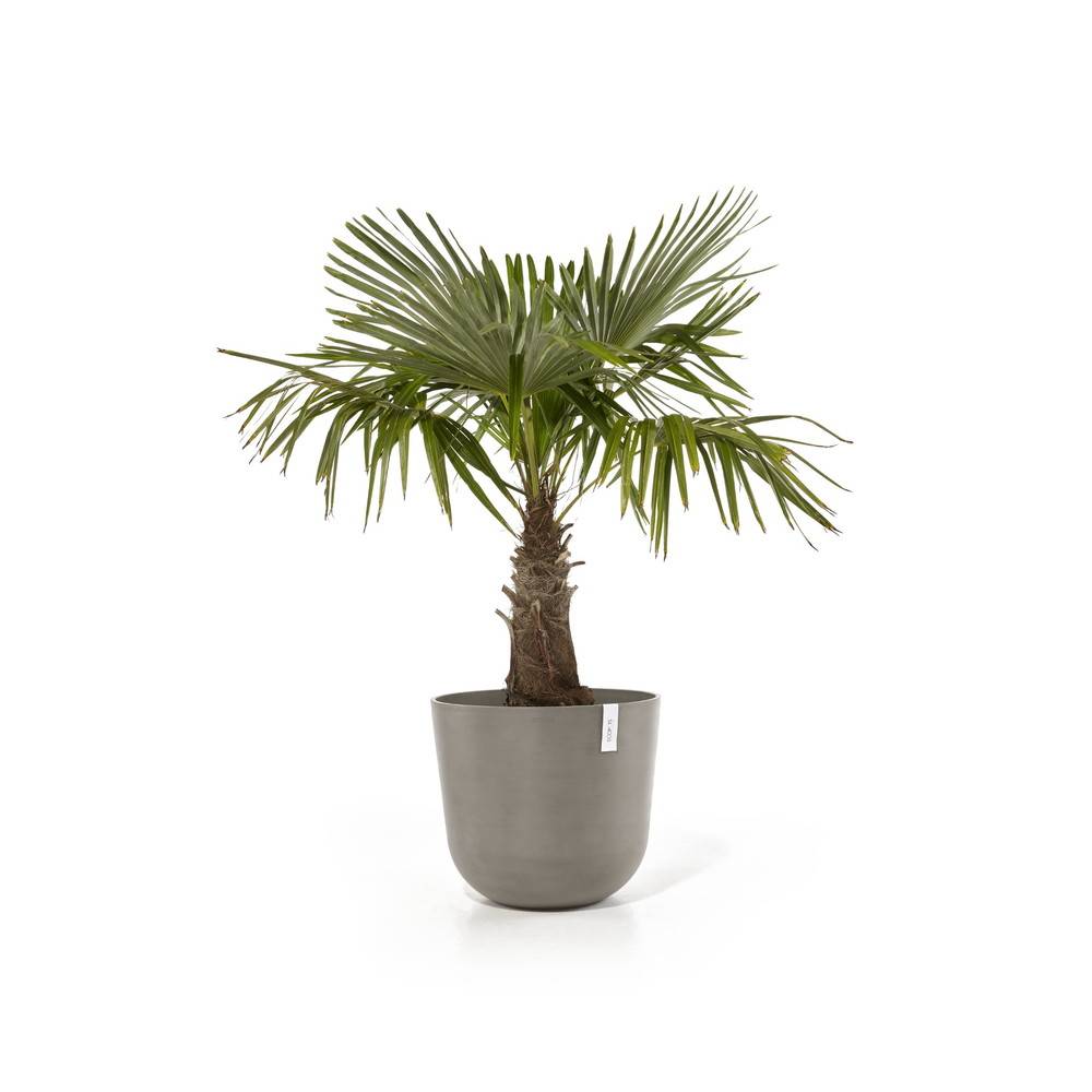 Ecopots - Pot Rond Oslo 55 Taupe + réservoir d'eau - Ø 55 x H. 47,9 cm - 85,6 L ECOPOTS