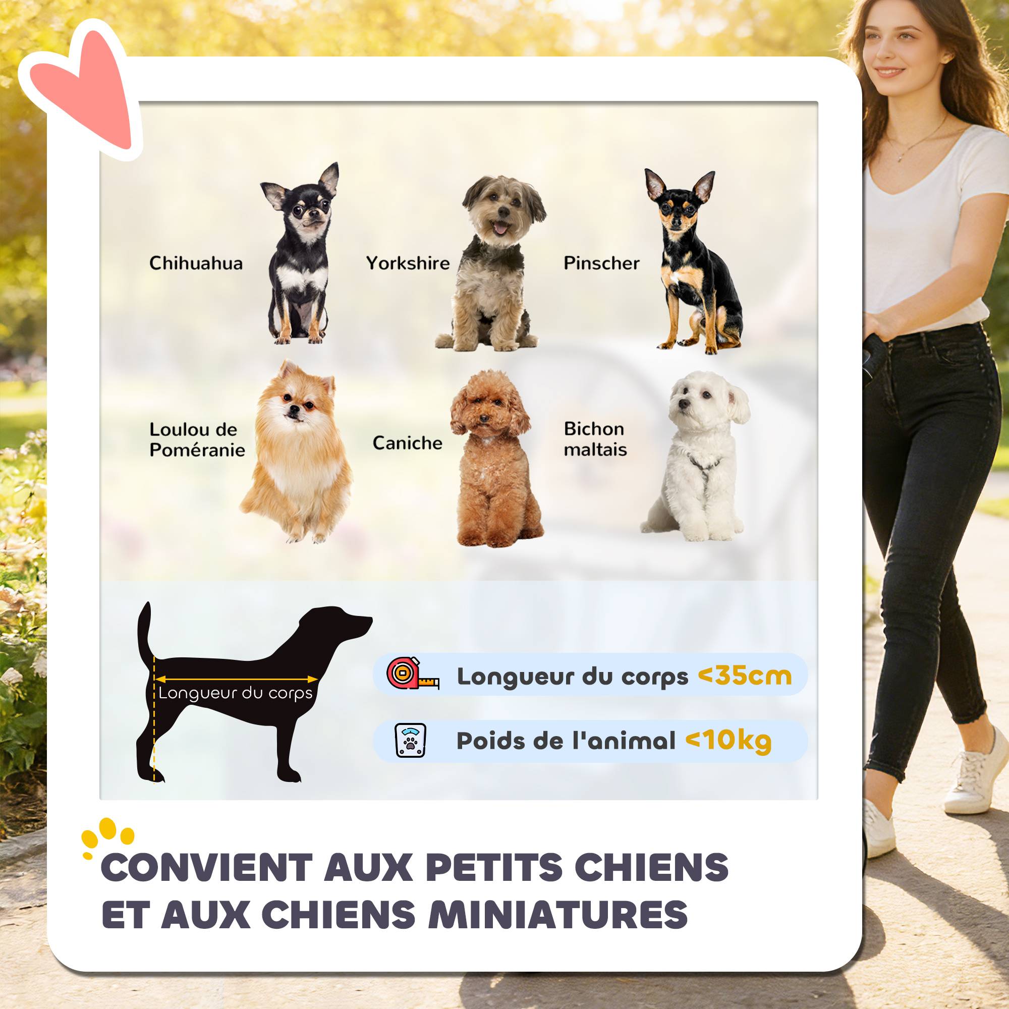 Poussette pour Chien 4 Roues, Chariot Pliable avec Auvent Réglable, Panier de Rangement, 77x44x102cm, Gris - Image 6