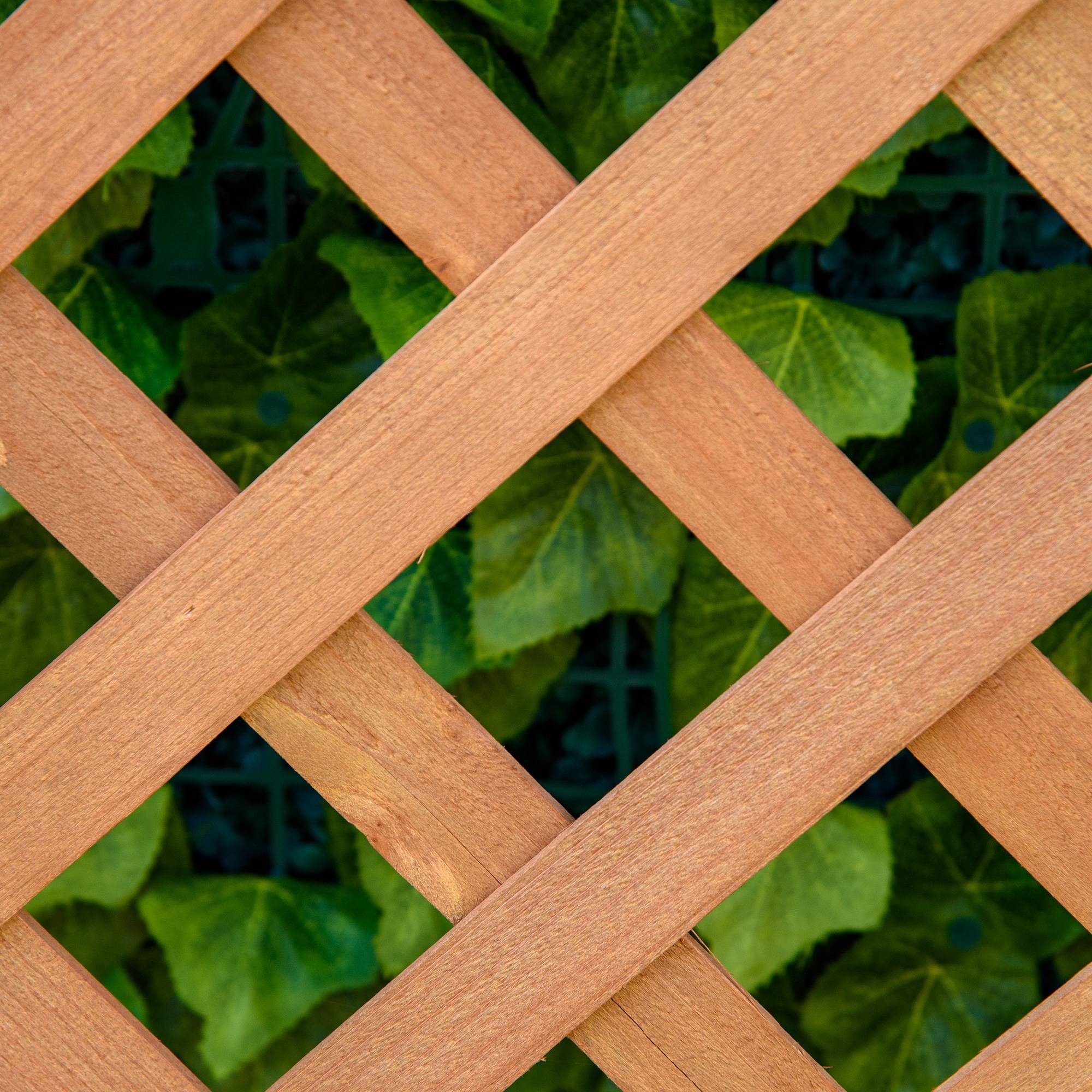 Jardinière avec treillis bois sapin balcon brise-vue 117cm naturel - ComfortXL Outdoor Living - Image 10