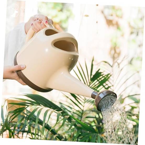 Arrosoir À Longue Bouche Pour Plantes Intérieur Et Extérieur DtopbuyAge - Image 5