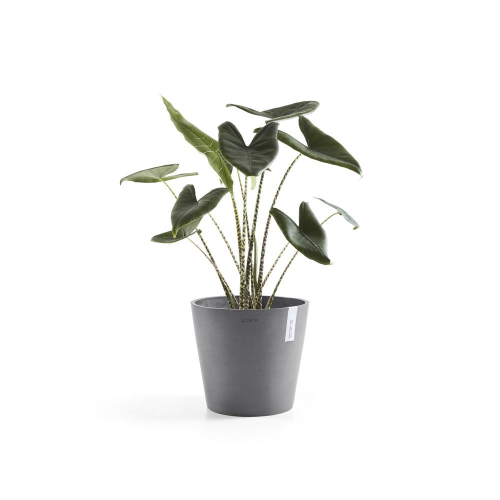 Ecopots - Pot Rond Amsterdam 25 Gris - Ø 25,4 x H. 24,5 cm - 9,7 L ECOPOTS - Image 2