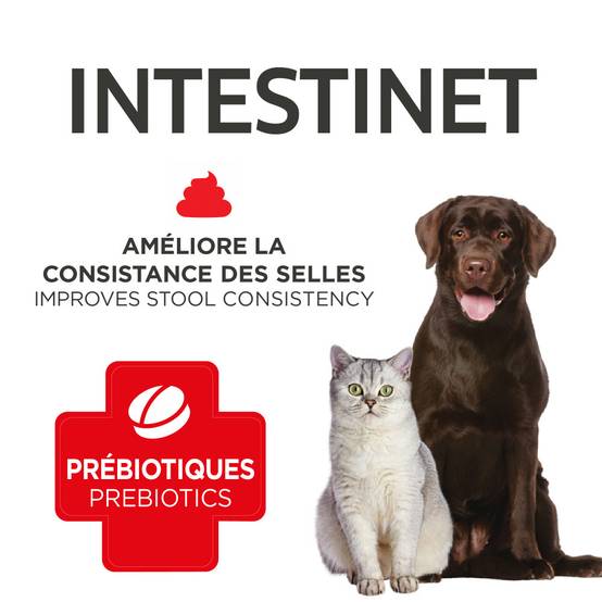 Francodex - Intestinet 45 Comprimés Pour Chiens et Chats - Image 5