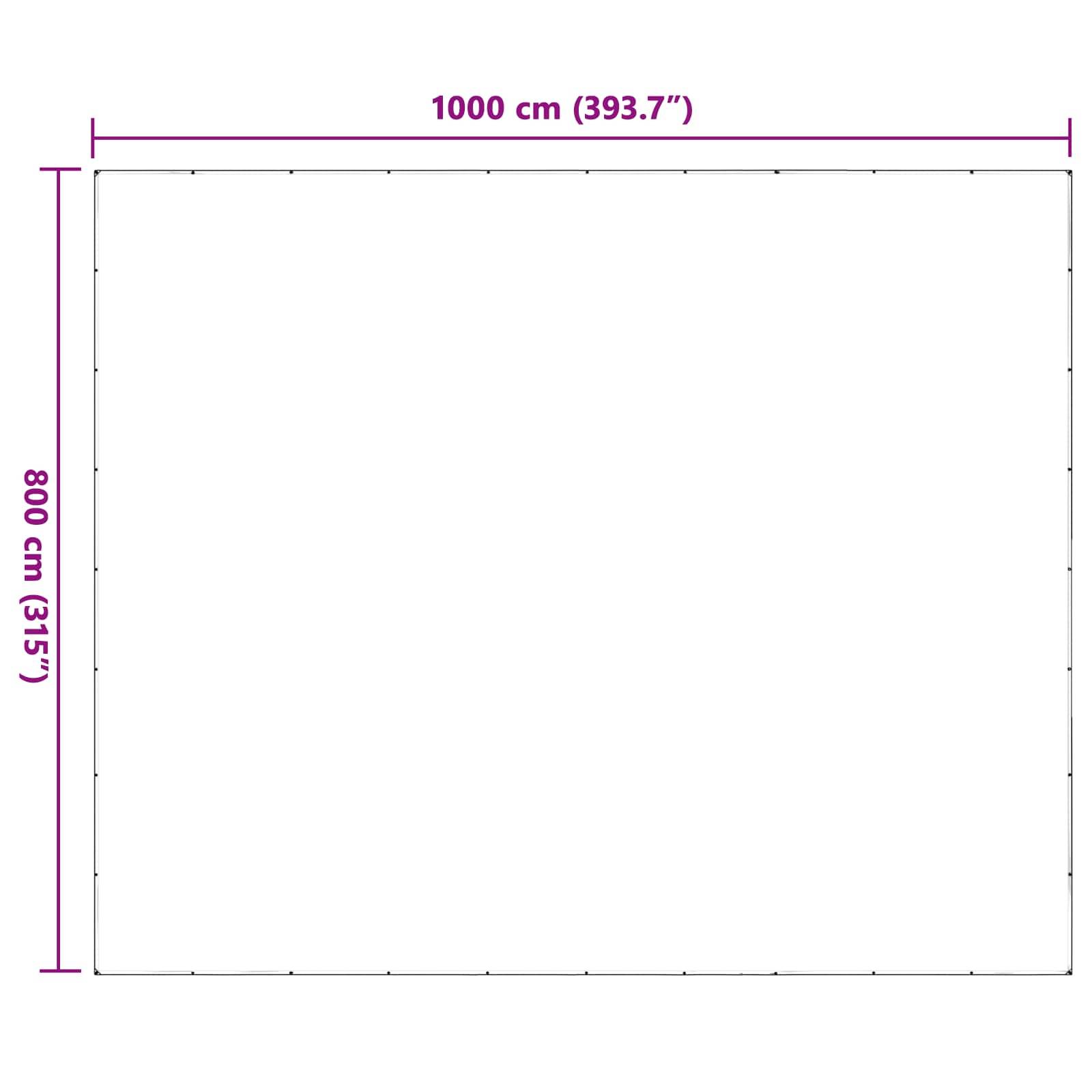 Vidaxl - Couverture pour plantes 8 x 10 m PE Transparent vidaXL 3429293 - Image 3