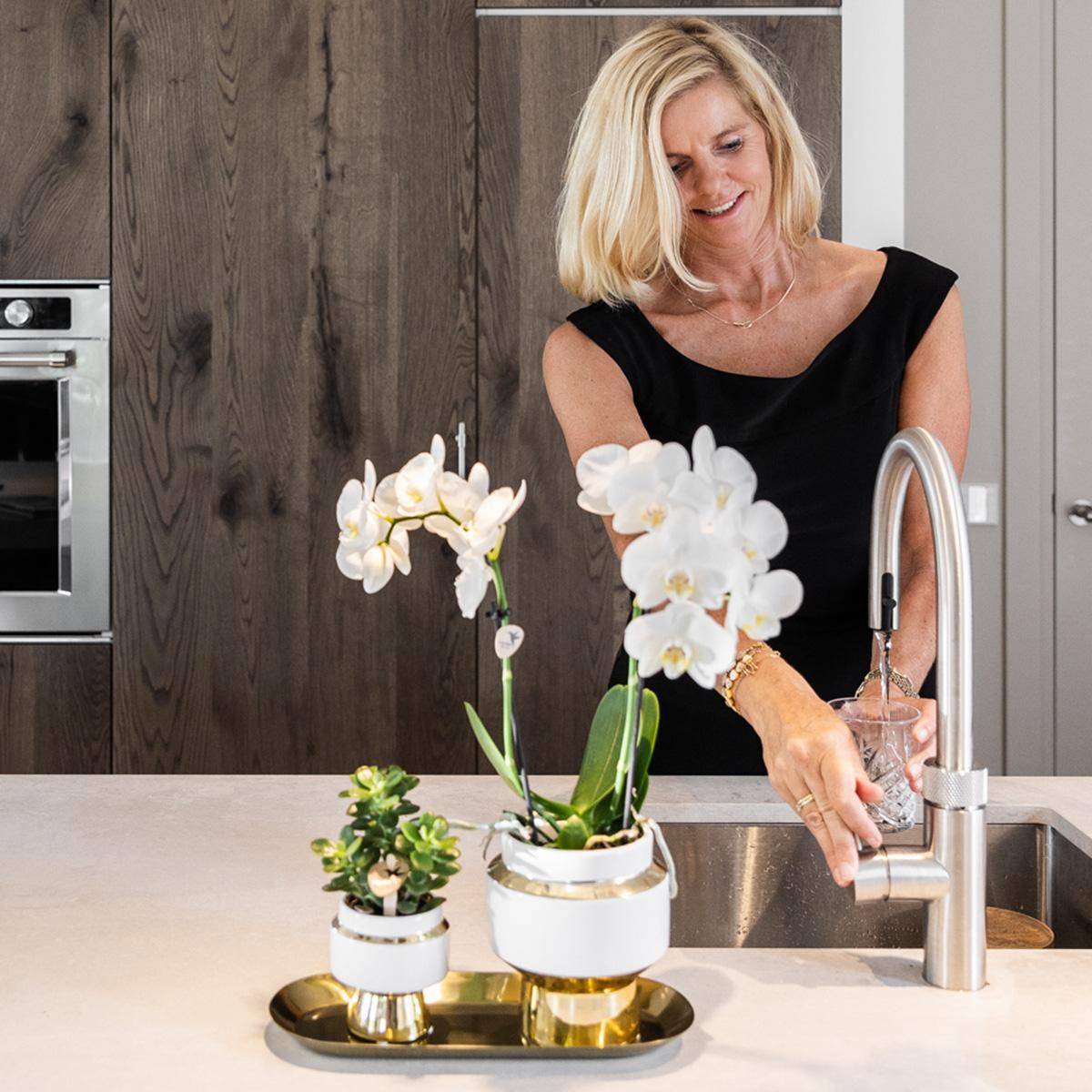 Ensemble Orchidée Blanche et Succulente sur Plateau Doré- La Green Touch - Image 2