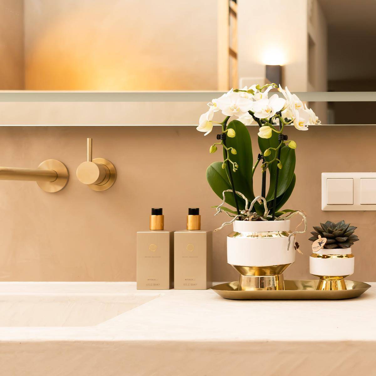 Ensemble Orchidée Blanche et Succulente sur Plateau Doré- La Green Touch - Image 3