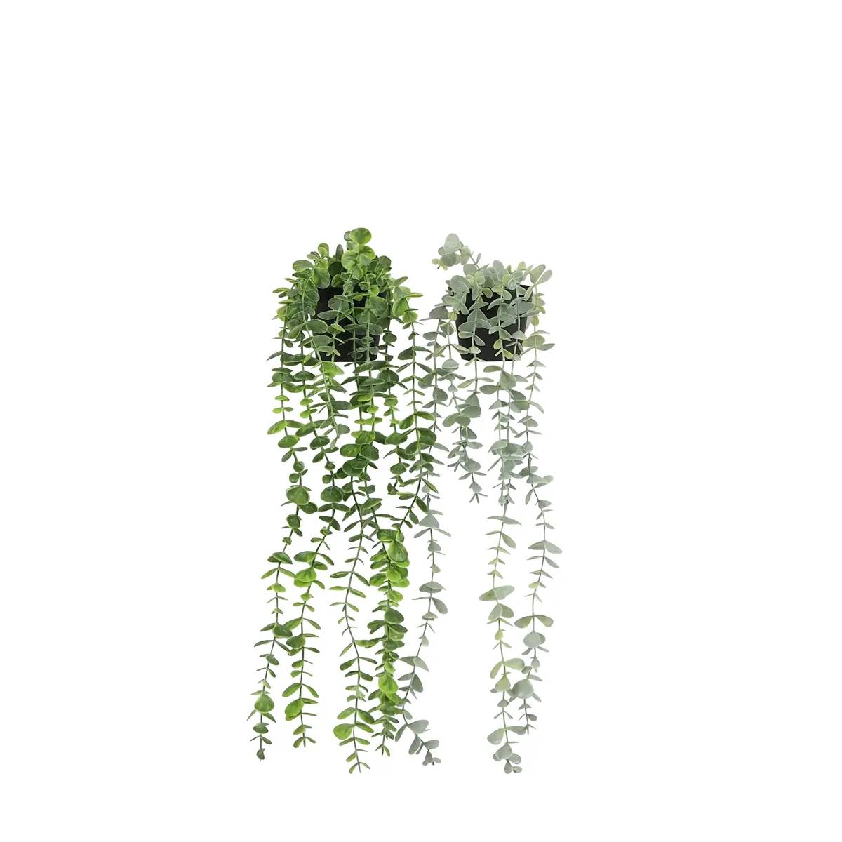 Ligne Deco - Plante succulente retombante artificielle 50cm lot de 2 - Image 1