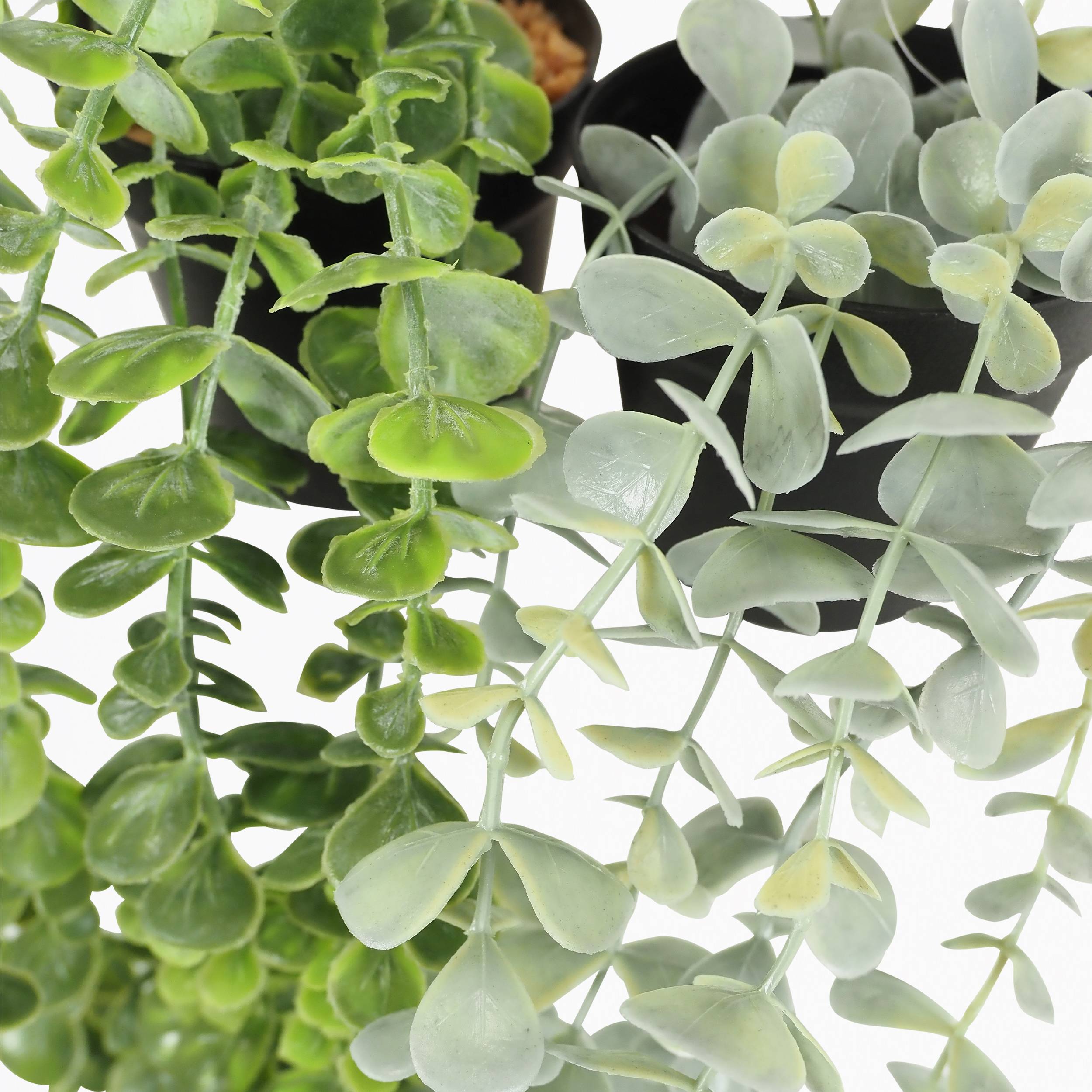 Ligne Deco - Plante succulente retombante artificielle 50cm lot de 2 - Image 7