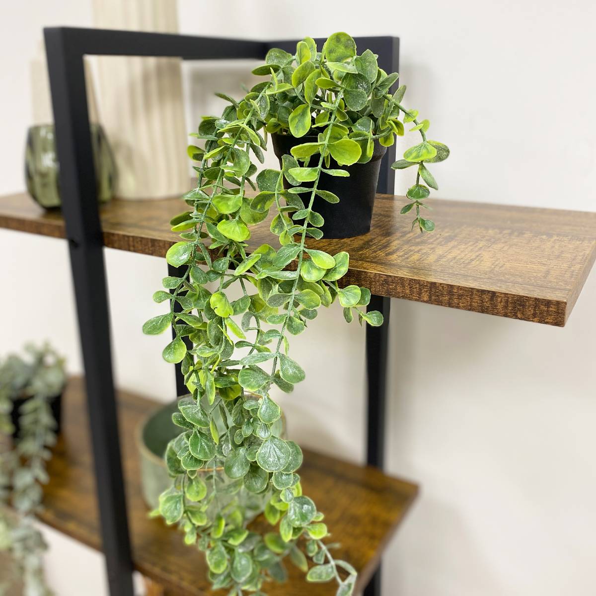 Ligne Deco - Plante succulente retombante artificielle 50cm lot de 2 - Image 3