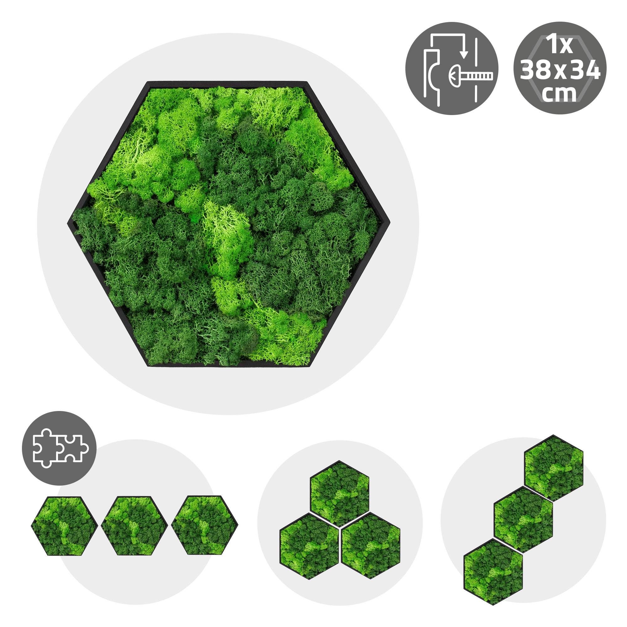 Ecd-Germany - Tableau en mousse de renne stabilisée, hexagonal, 38 x 34 cm, vert, décoration murale végétale d'intérieur, cadre en bois, sans arrosage ni entretien - Image 10