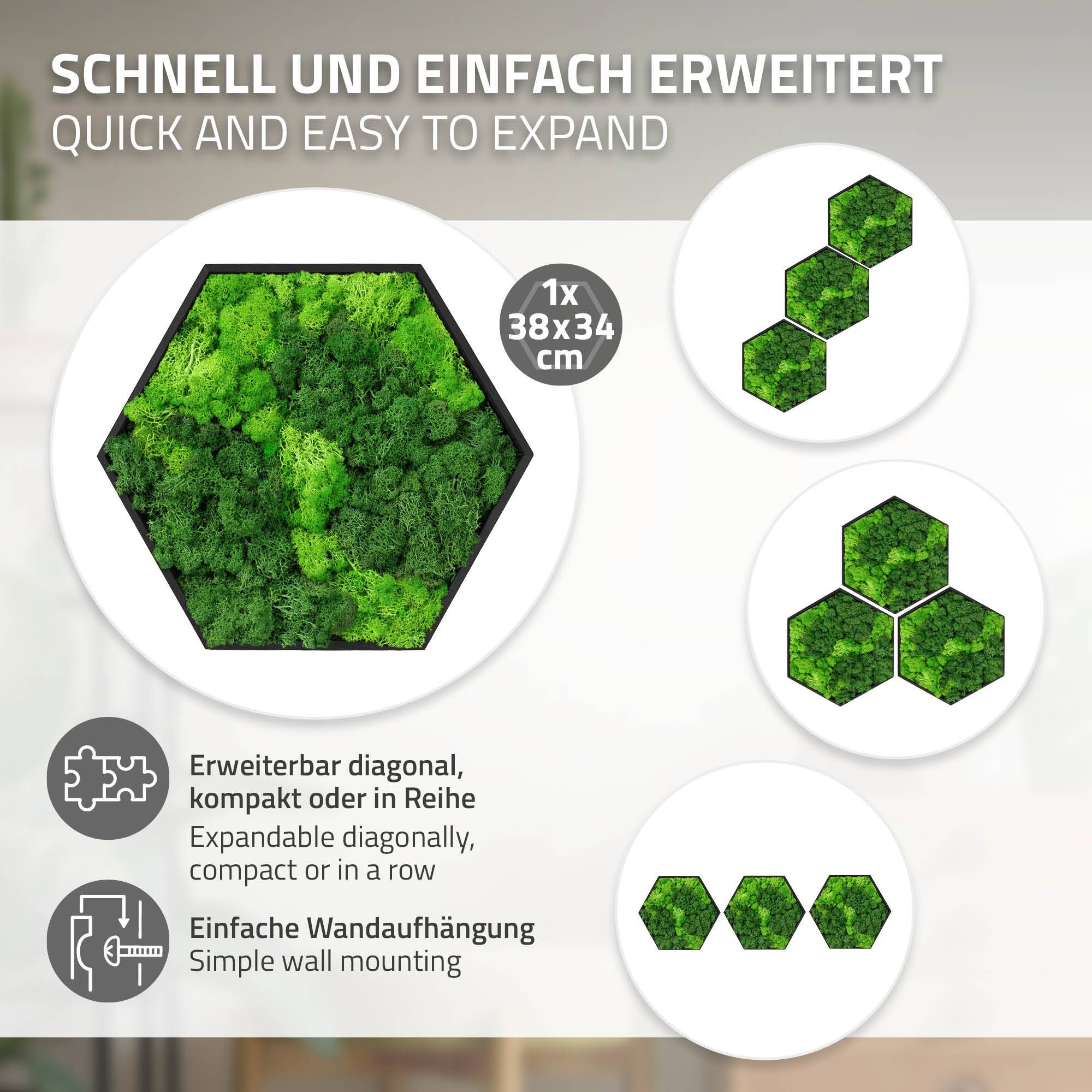 Ecd-Germany - Tableau en mousse de renne stabilisée, hexagonal, 38 x 34 cm, vert, décoration murale végétale d'intérieur, cadre en bois, sans arrosage ni entretien - Image 4